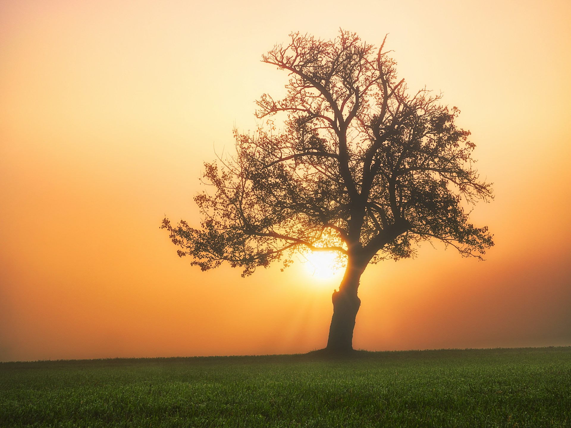 blog-post-featured-image